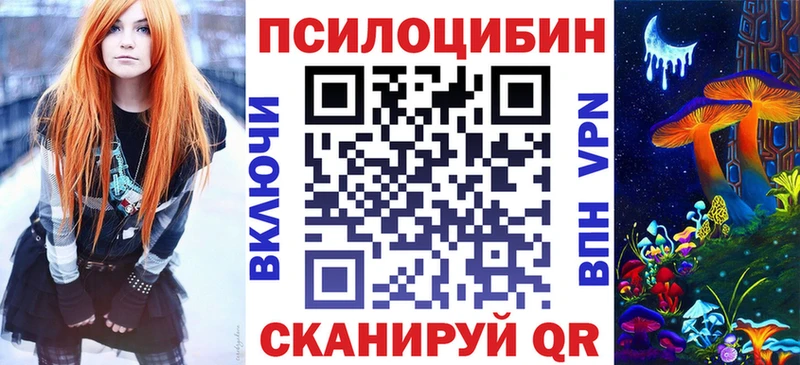 darknet какой сайт  где купить   Новодвинск  Псилоцибиновые грибы прущие грибы 